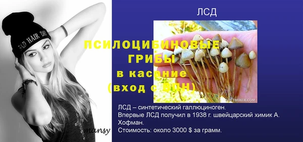 хмурый Сясьстрой