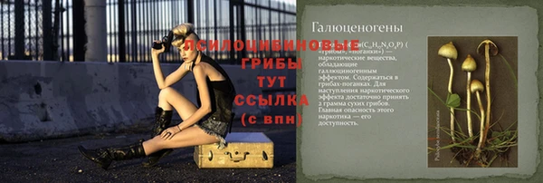 кокаин колумбия Тайга
