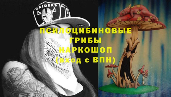 хмурый Сясьстрой
