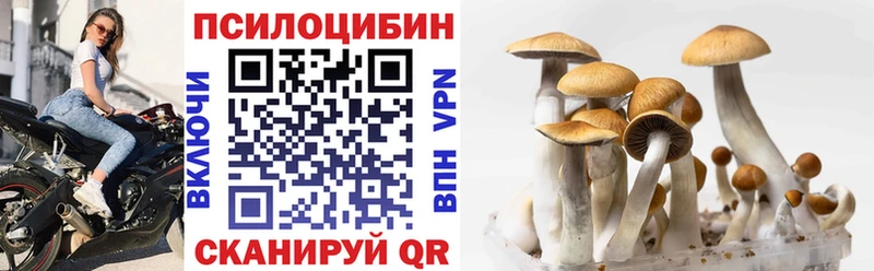 Купить закладки  Воронеж  Галлюциногенные грибы мухоморы 